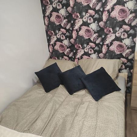 Walbrzych Pilsuckiego News Apartament Leilighet Eksteriør bilde